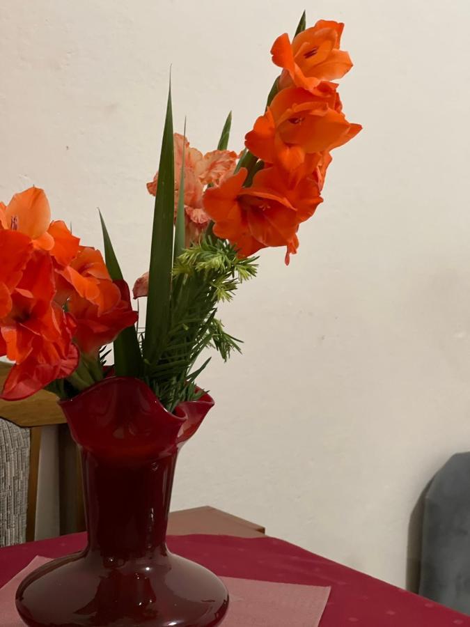 Apartmani Miro Τρέμπινιε Εξωτερικό φωτογραφία